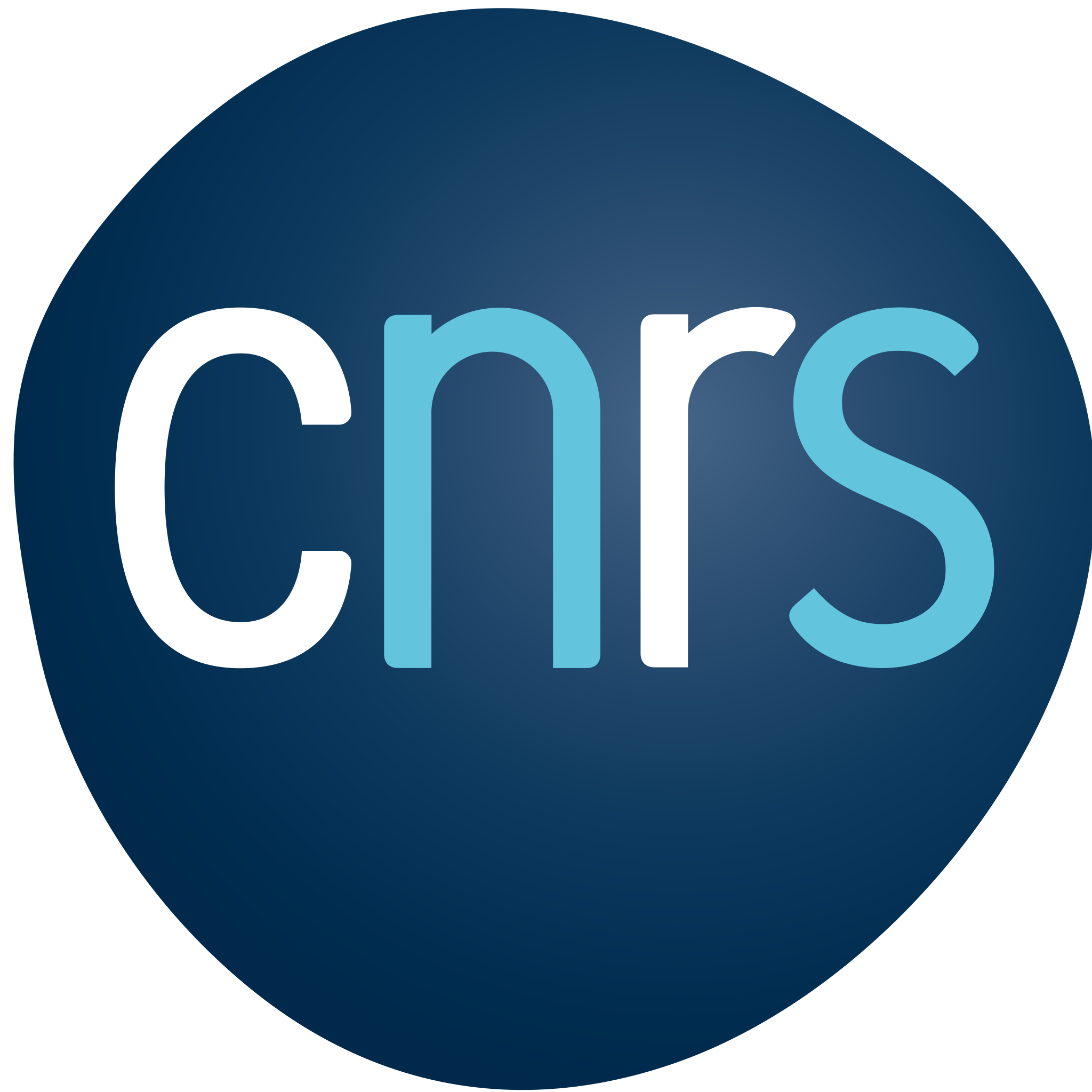 CNRS (Centre National de la Recherche Scientifique)